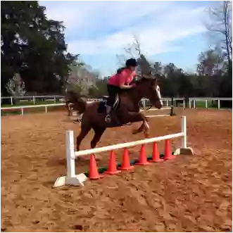 Camp Horseshoe Equestrian Center