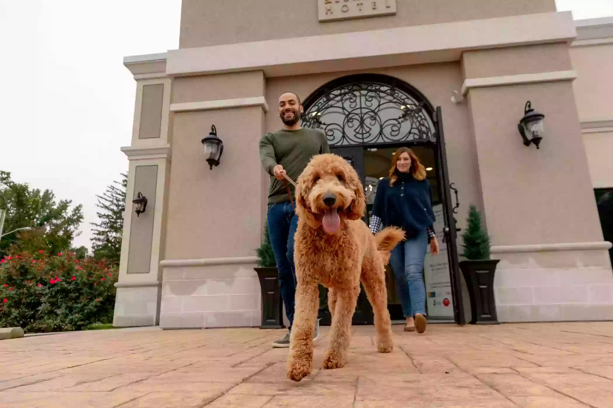 K9 Resorts Luxury Pet Hotel Mount Pleasant