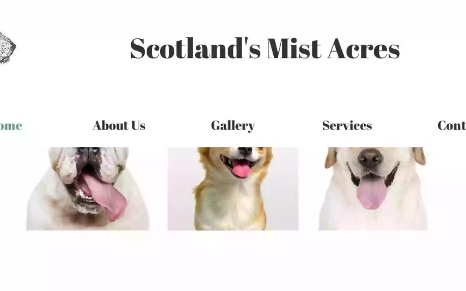 Scotland's Mist Acres