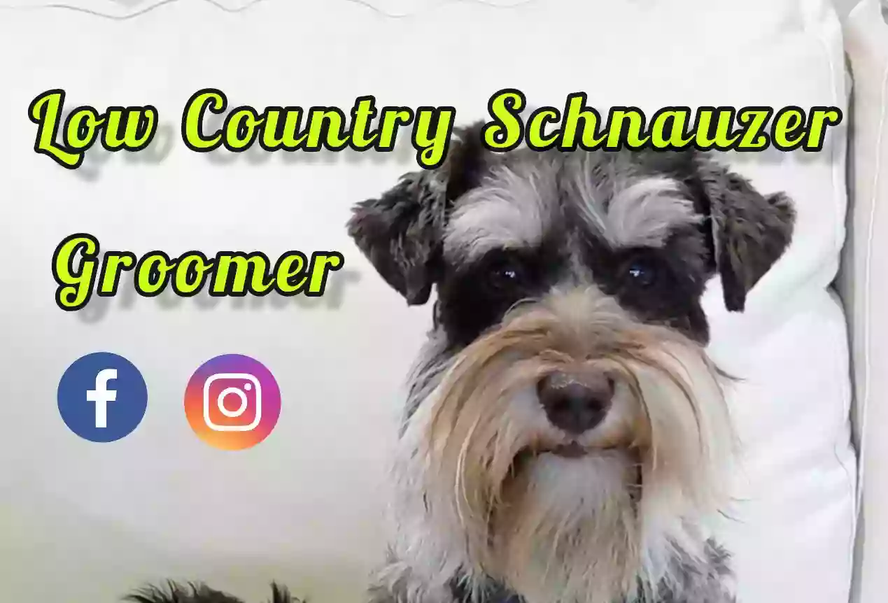 Low Country Schnauzer Groomer