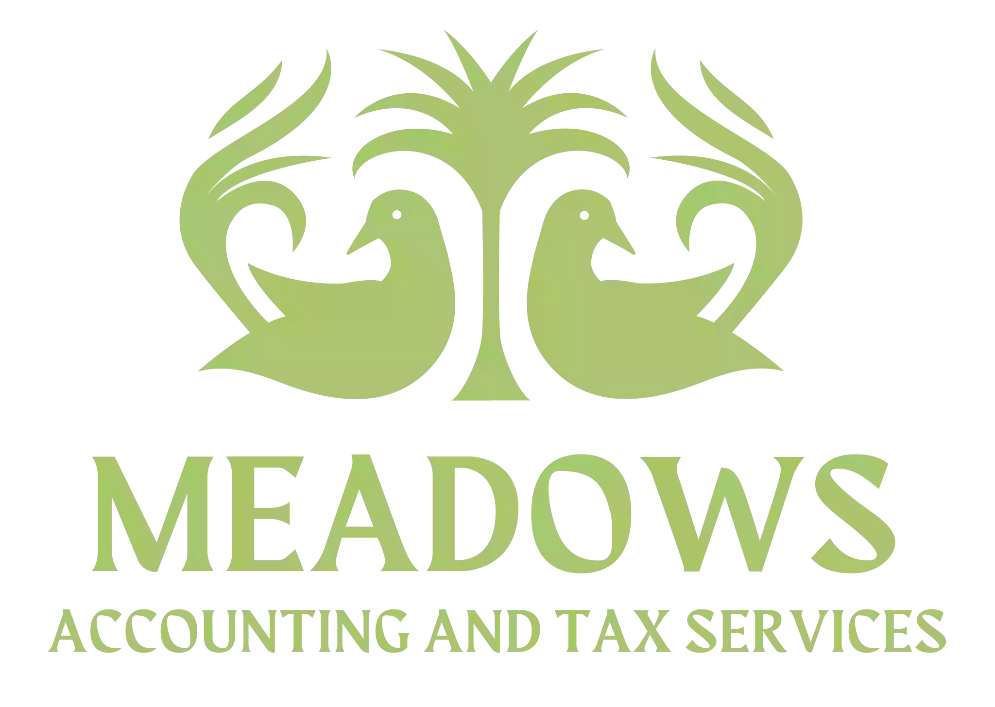 Meadows Accounting & Tax Services