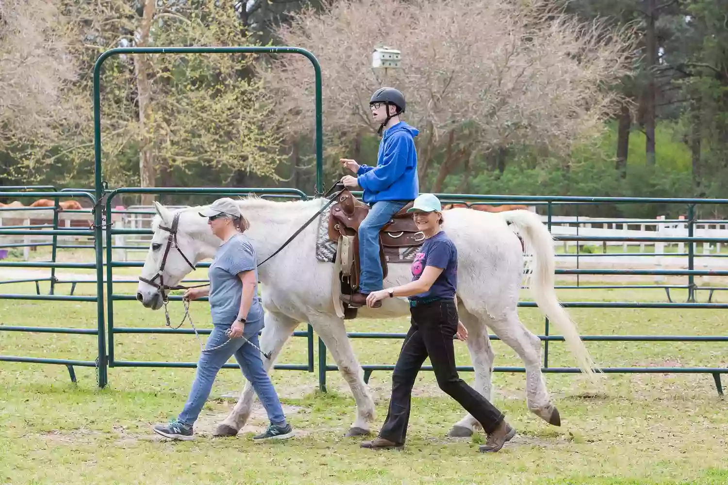 Charleston Area Therapeutic Riding