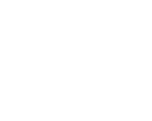 Superior Transportation