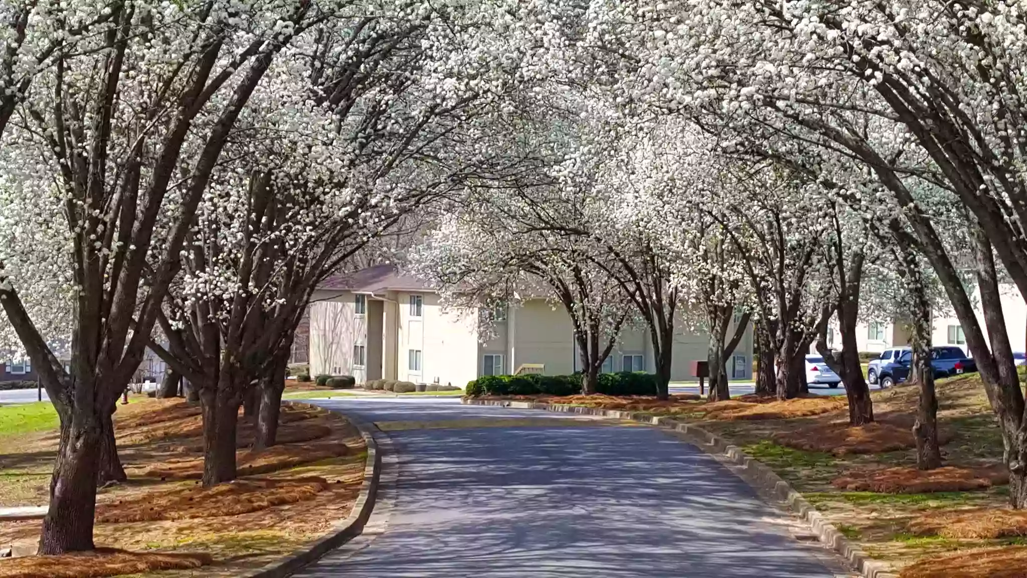 Lake View Garden Homes