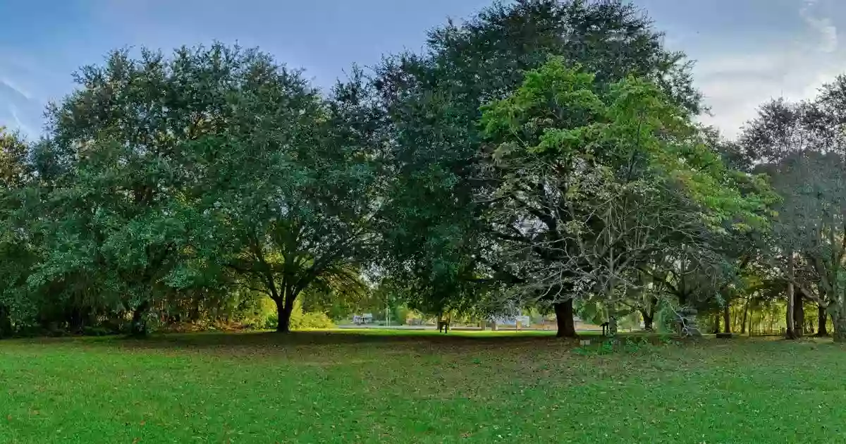 Eutaw Spring Battlefield