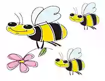 Honey Bee Academy LLC