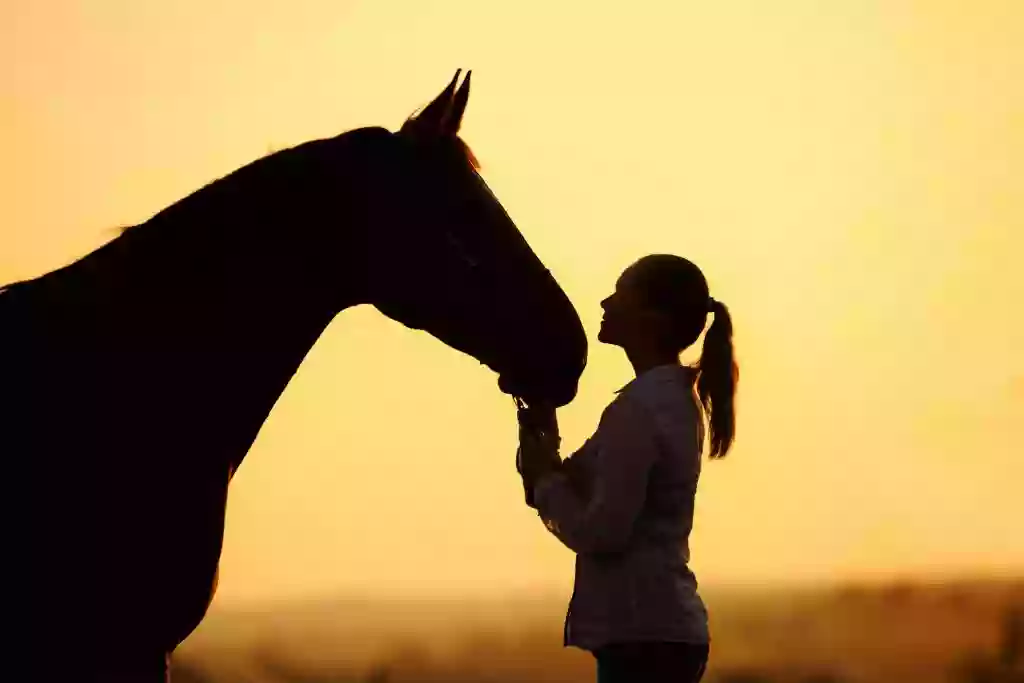 Windhorse Veterinary Acupuncture