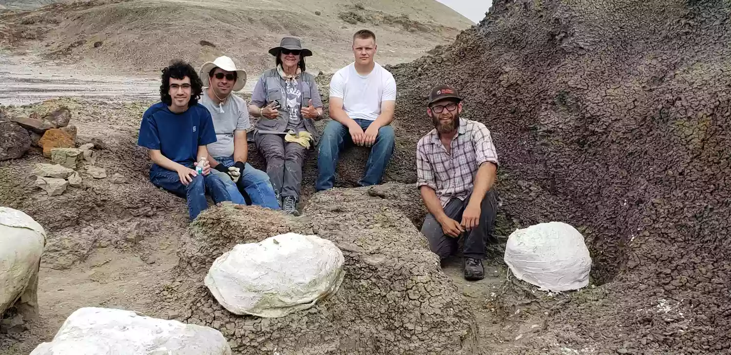 Hell Creek Fossils LLC