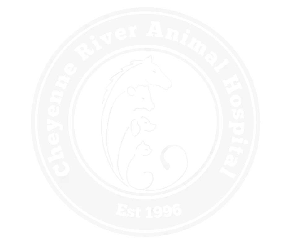 Cheyenne River Animal Hospital