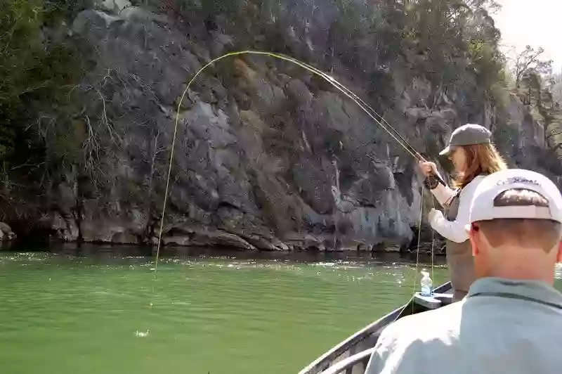 High Country Angler Fly Fishing