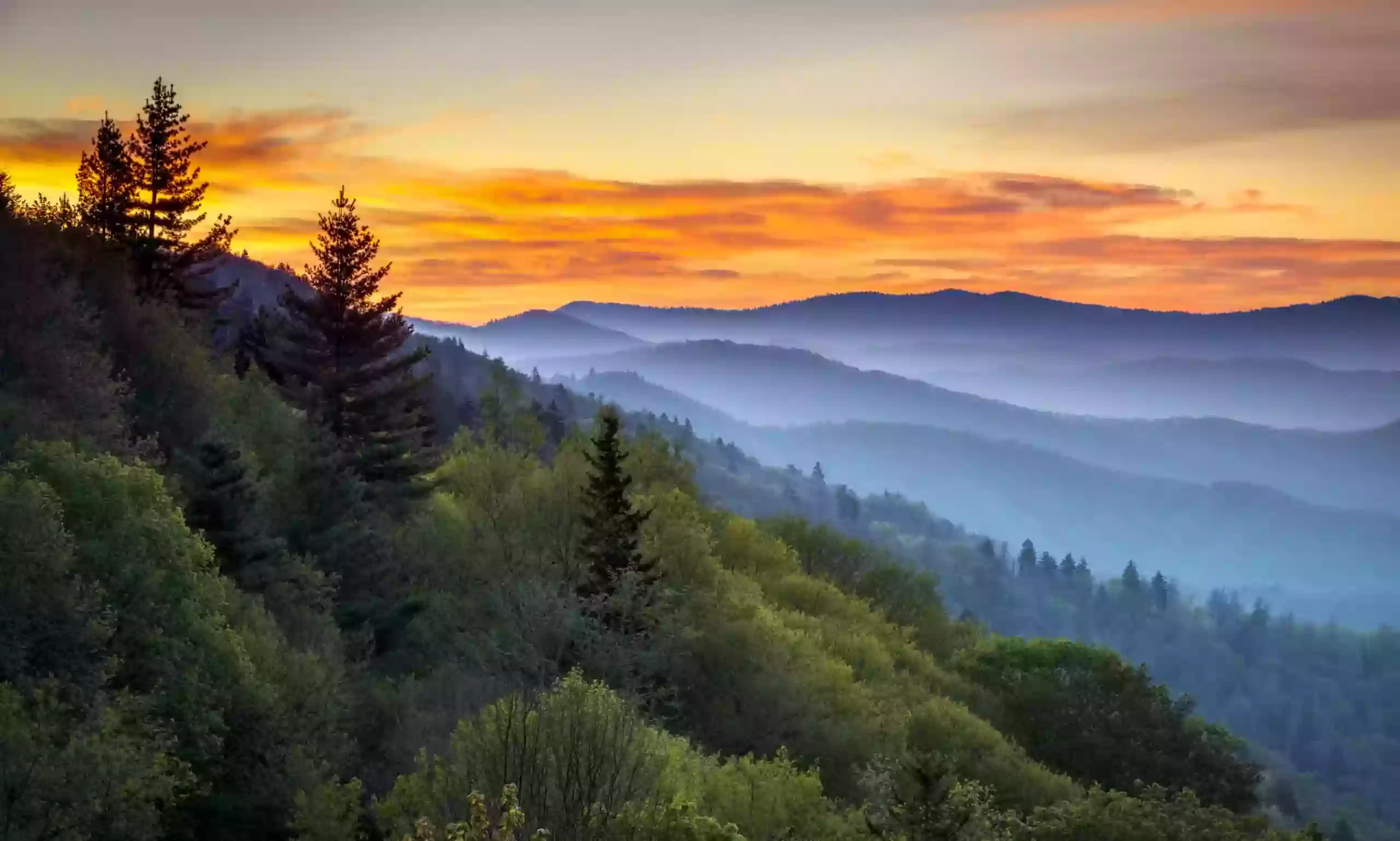 Under Canvas Great Smoky Mountains