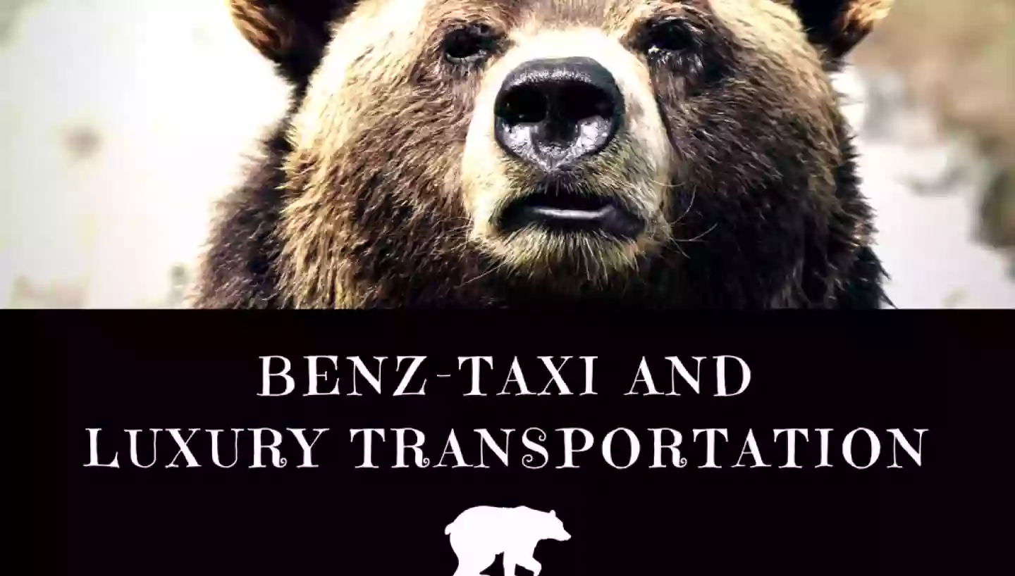 BENZ-TAXI and Luxury Transportation