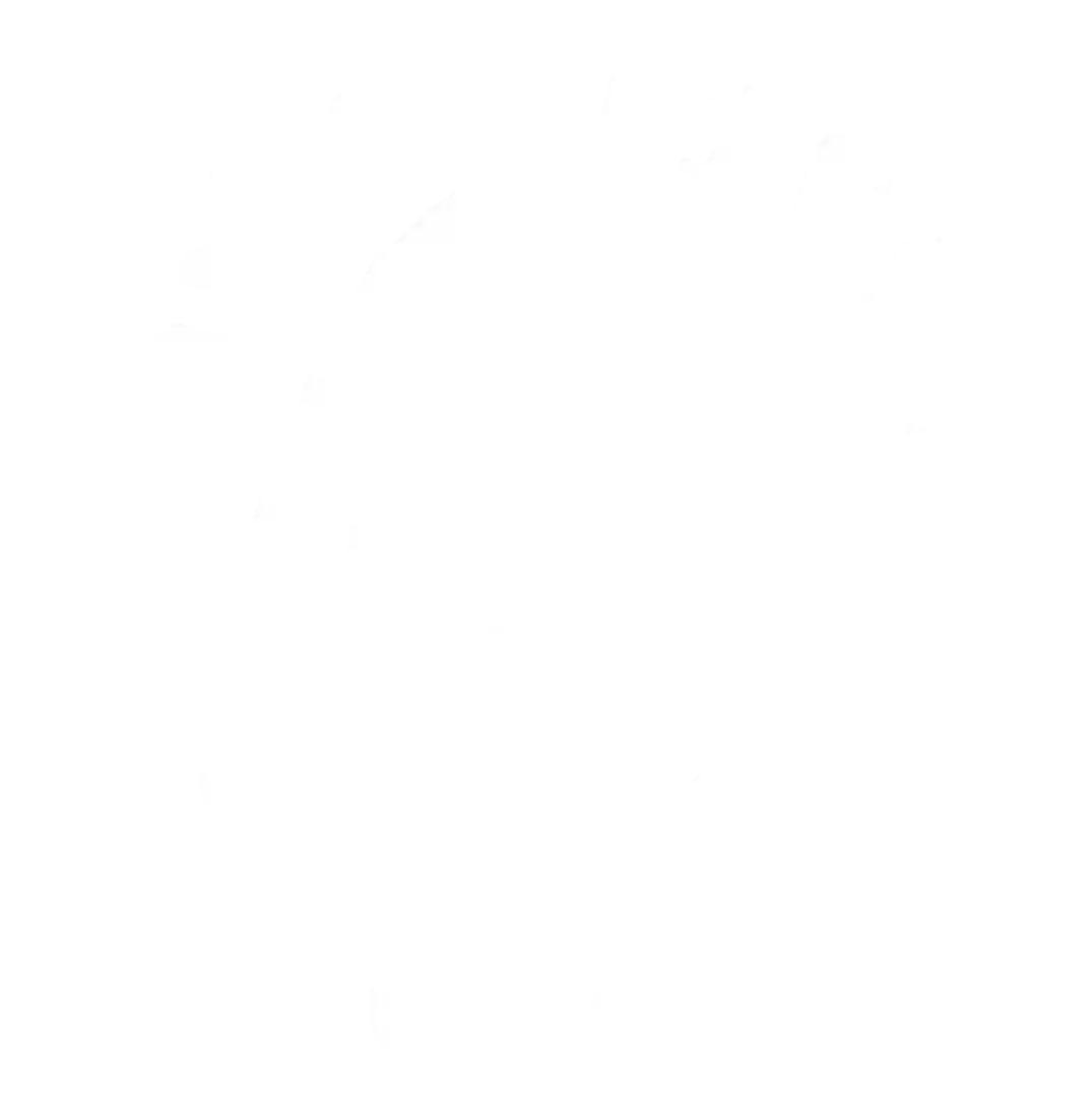 Camp Living Stones