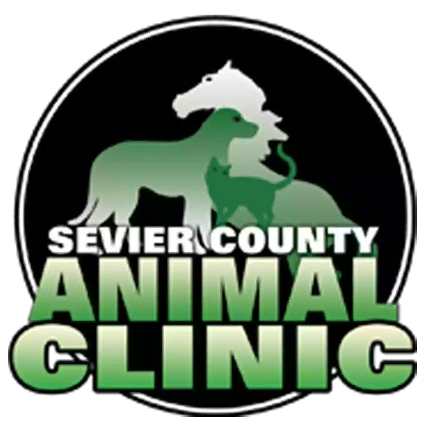 Sevier County Animal Clinic: Kreur Andrew DVM