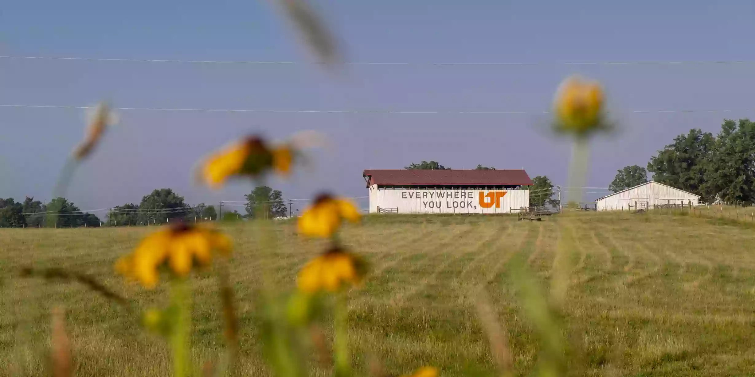 University of Tennessee Agricultural Extension Agency