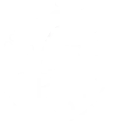 Rocky Top Wine Trail