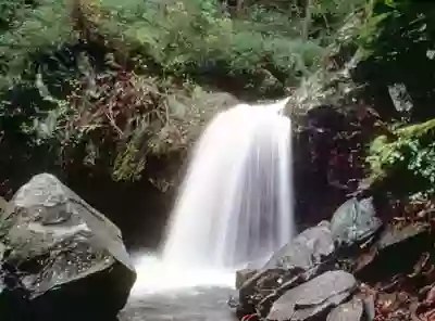 Grotto Falls