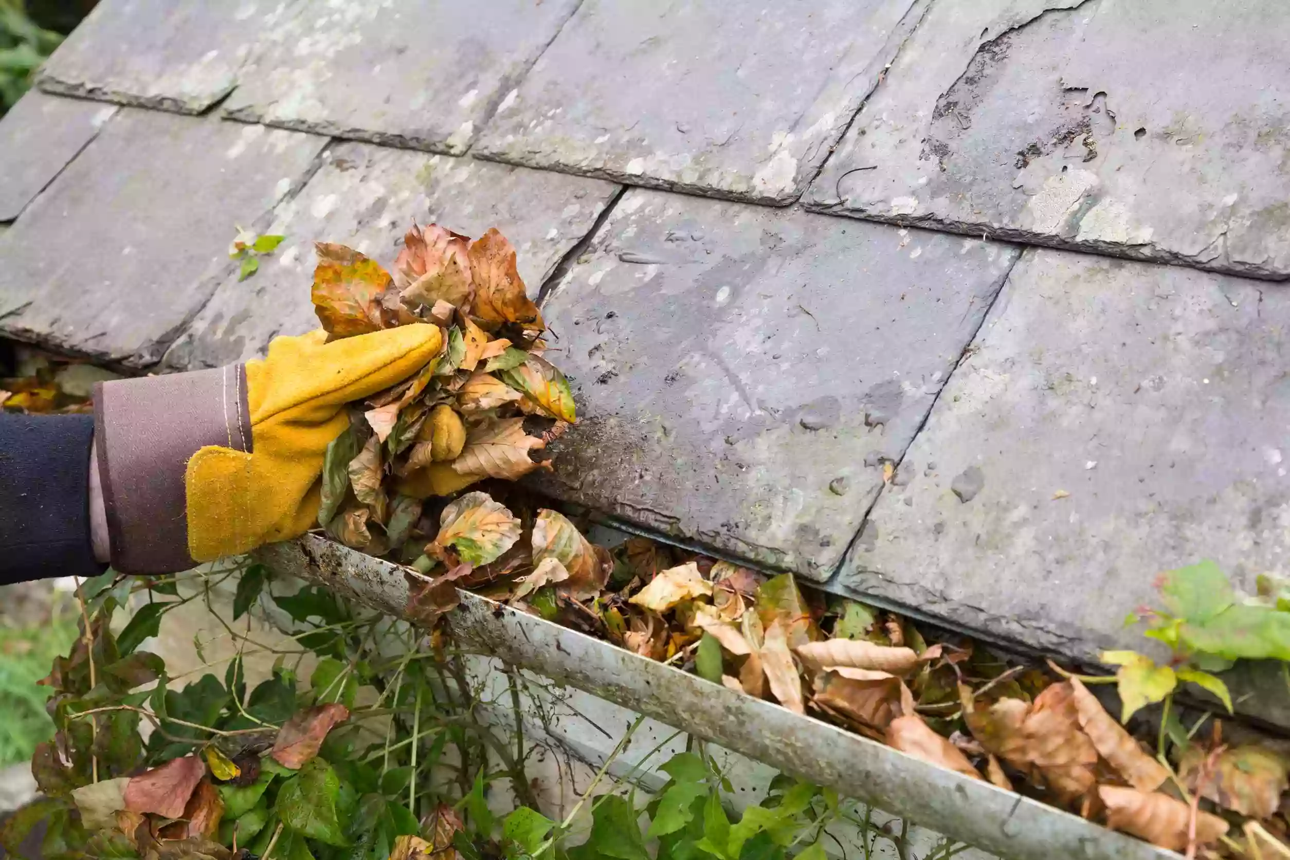 Pro Clean Gutter Cleaning