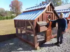 David's Chicken Coops