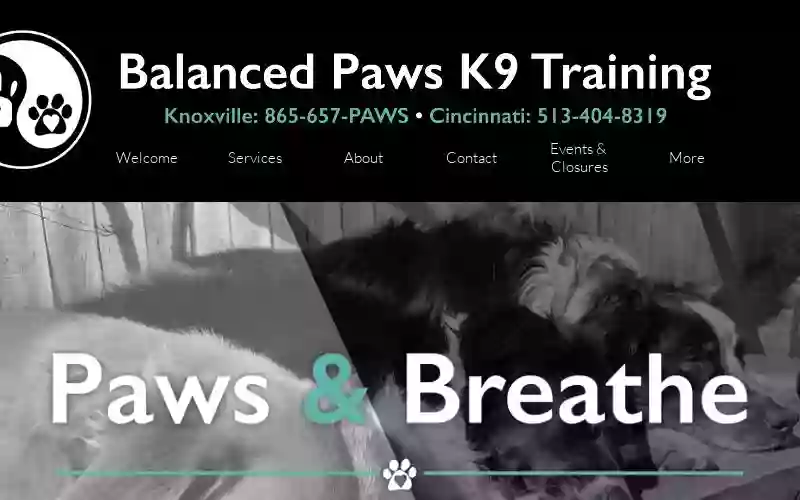 Balanced Paws K9 Training