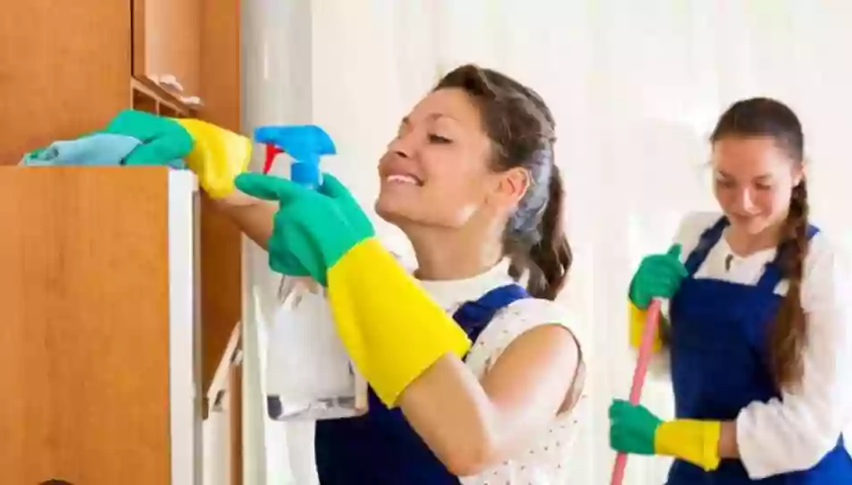 Brinco Cleaning Services