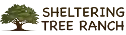 Sheltering Tree Ranch Educational Program