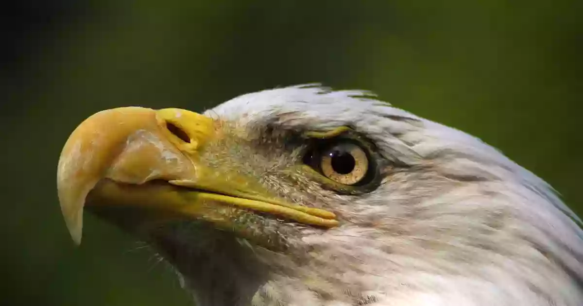 Reelfoot Lake Wildlife Refuge Visitor Center