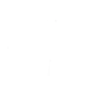 Lyra