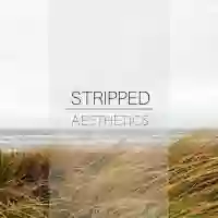 Stripped Aesthetics