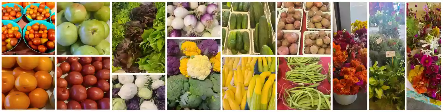 Rutherford County Farmers' Market