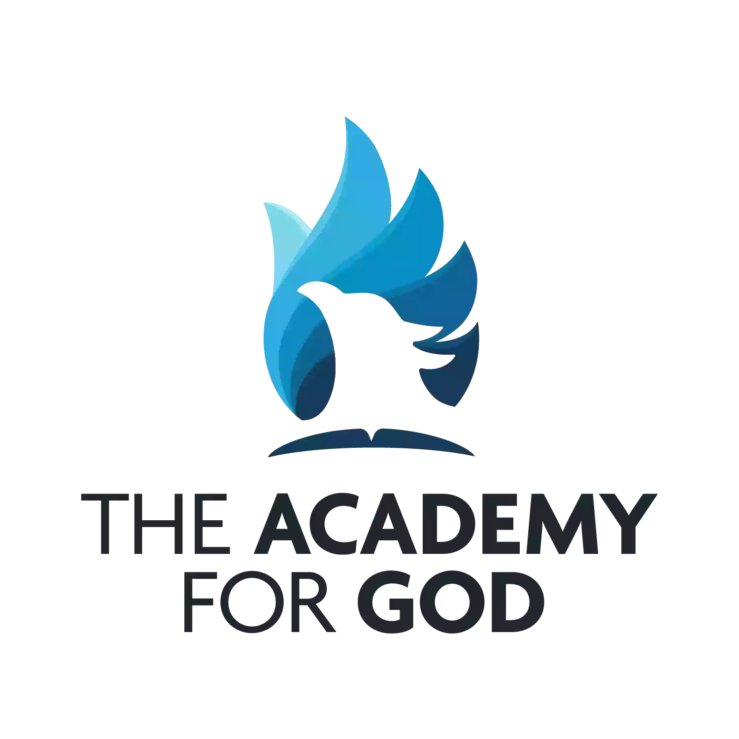The Academy for GOD