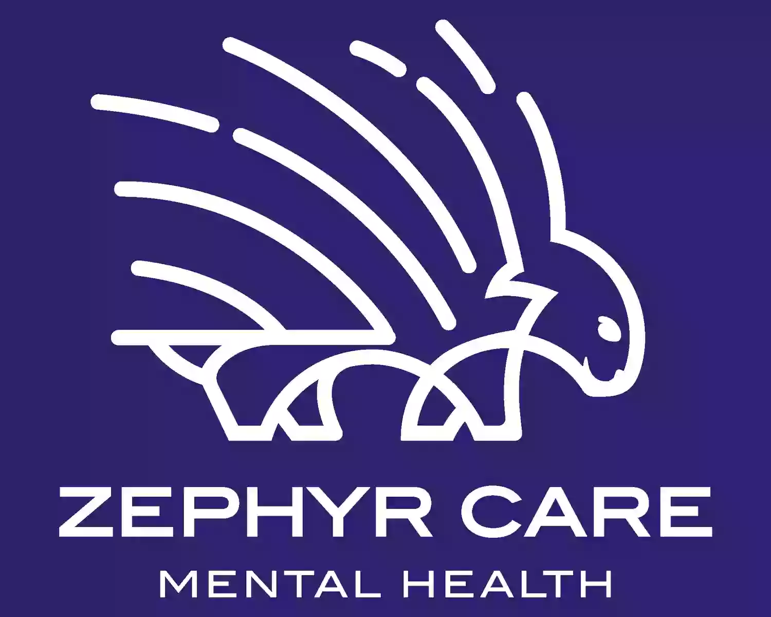 Zephyr Care Mental Health