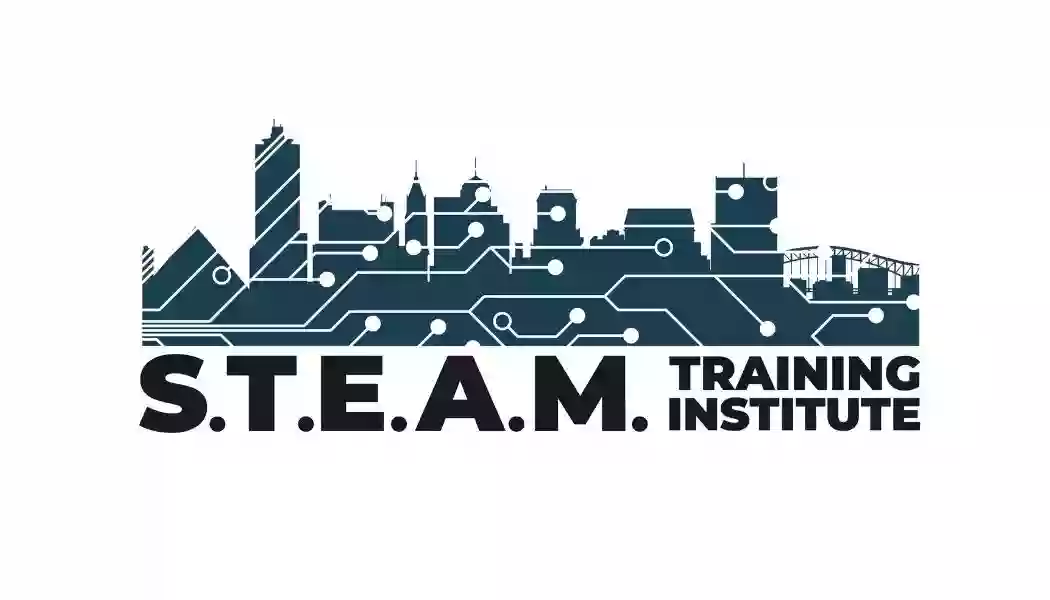 STEAM Training Institute