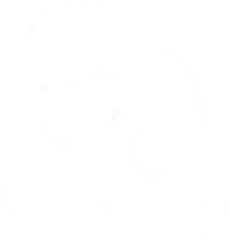 Crossroads Pets