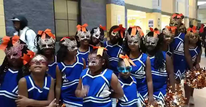 Memphis Tiger Divas