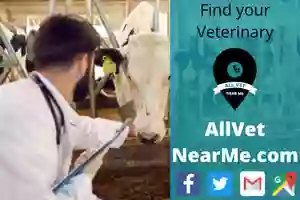 Farm Vet