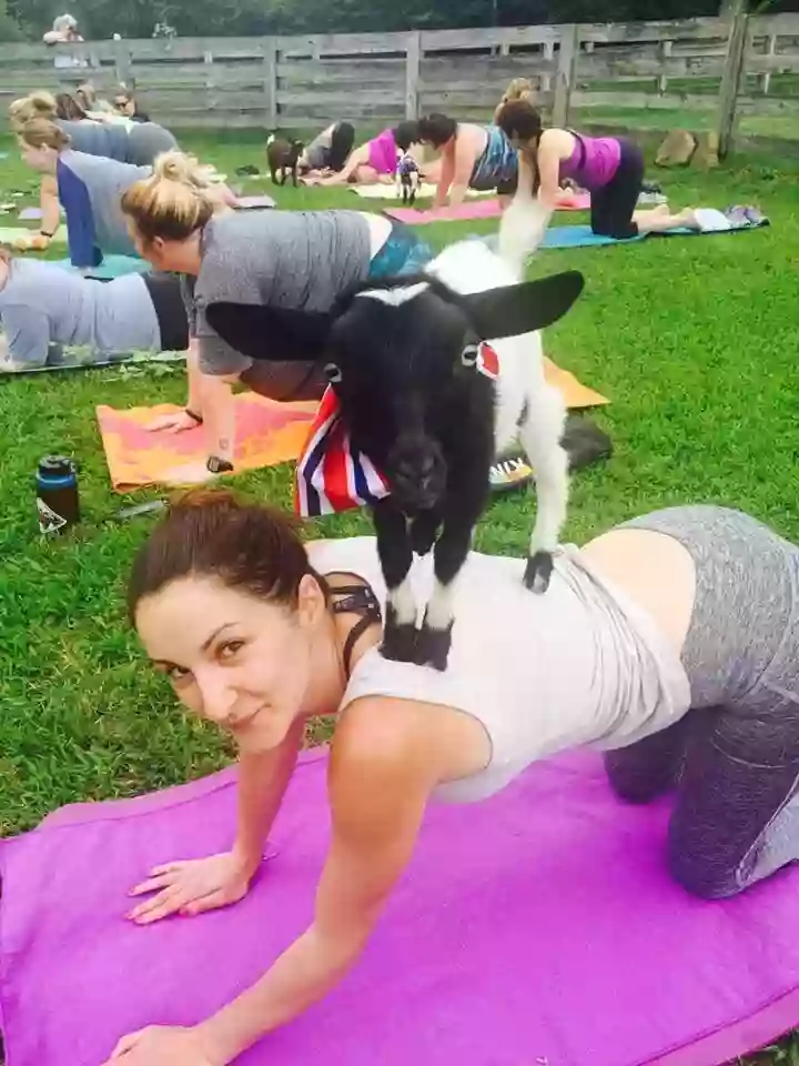 Goat Yoga Nashville