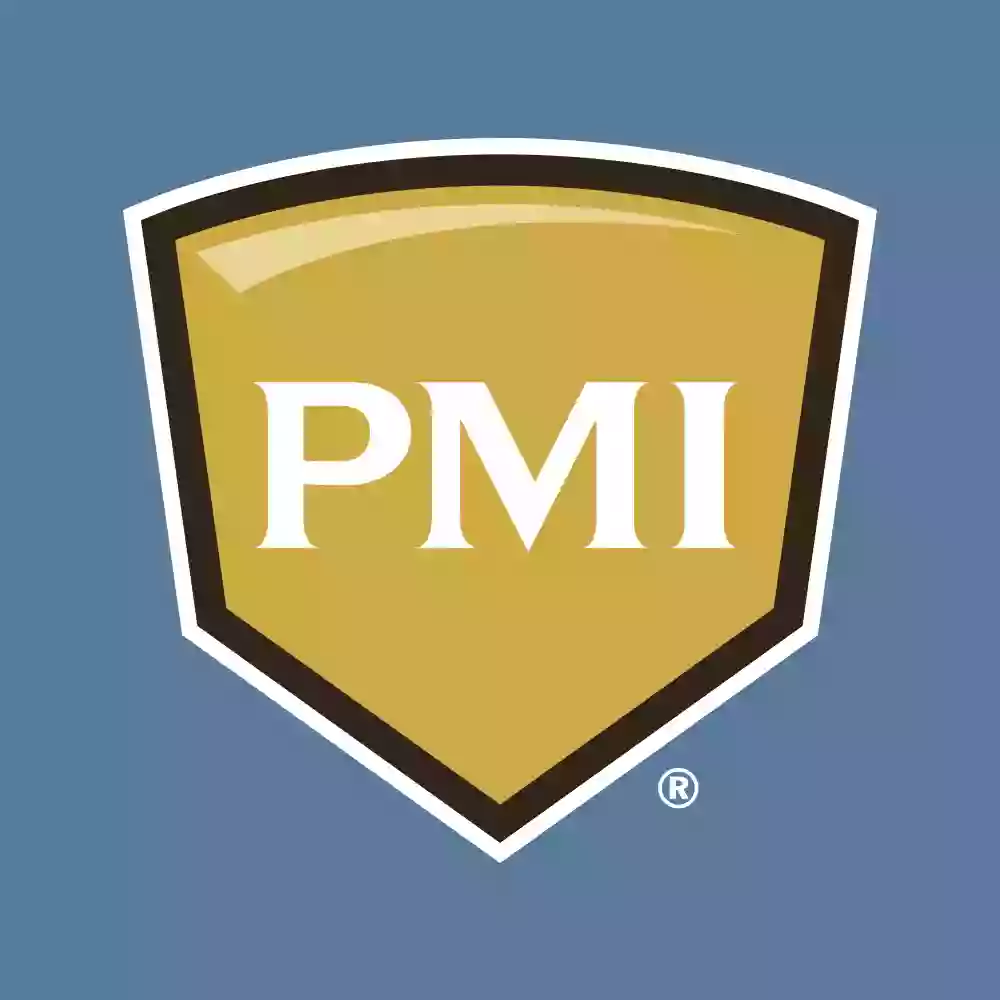 PMI Professionals