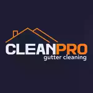 Fast Gutter Pros