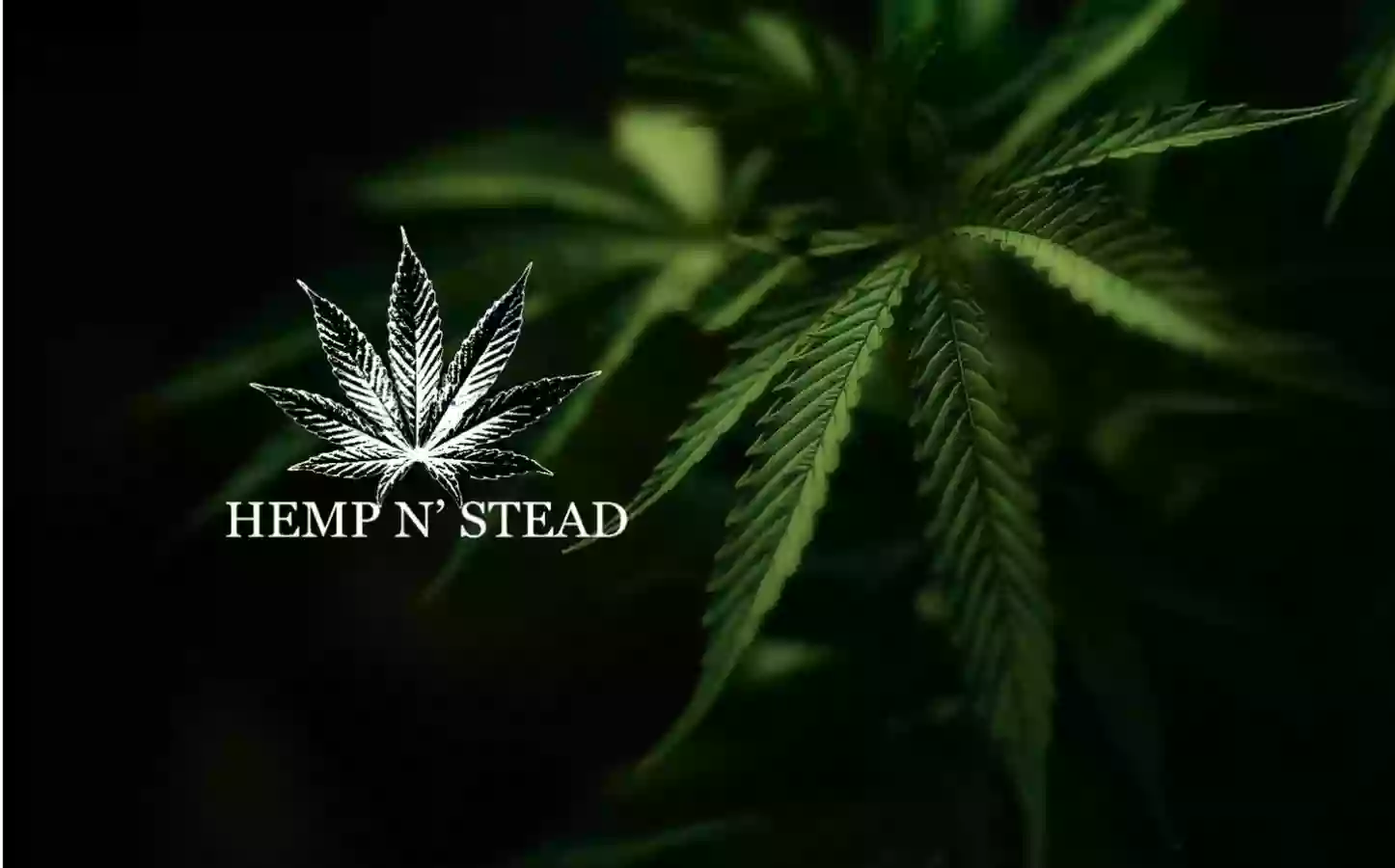 Hempn’Stead LLC