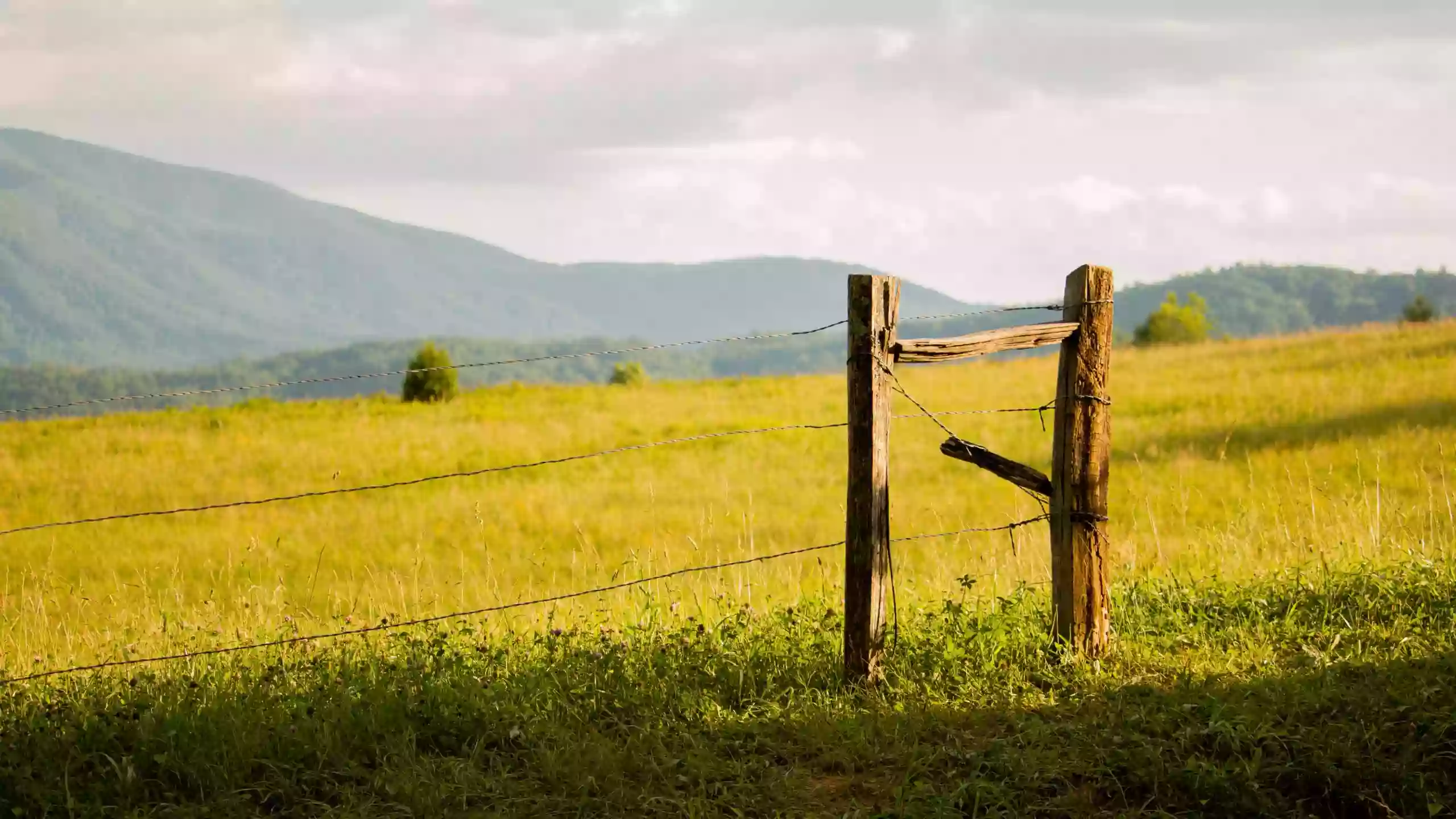 Loudon County University of Tennessee Extension