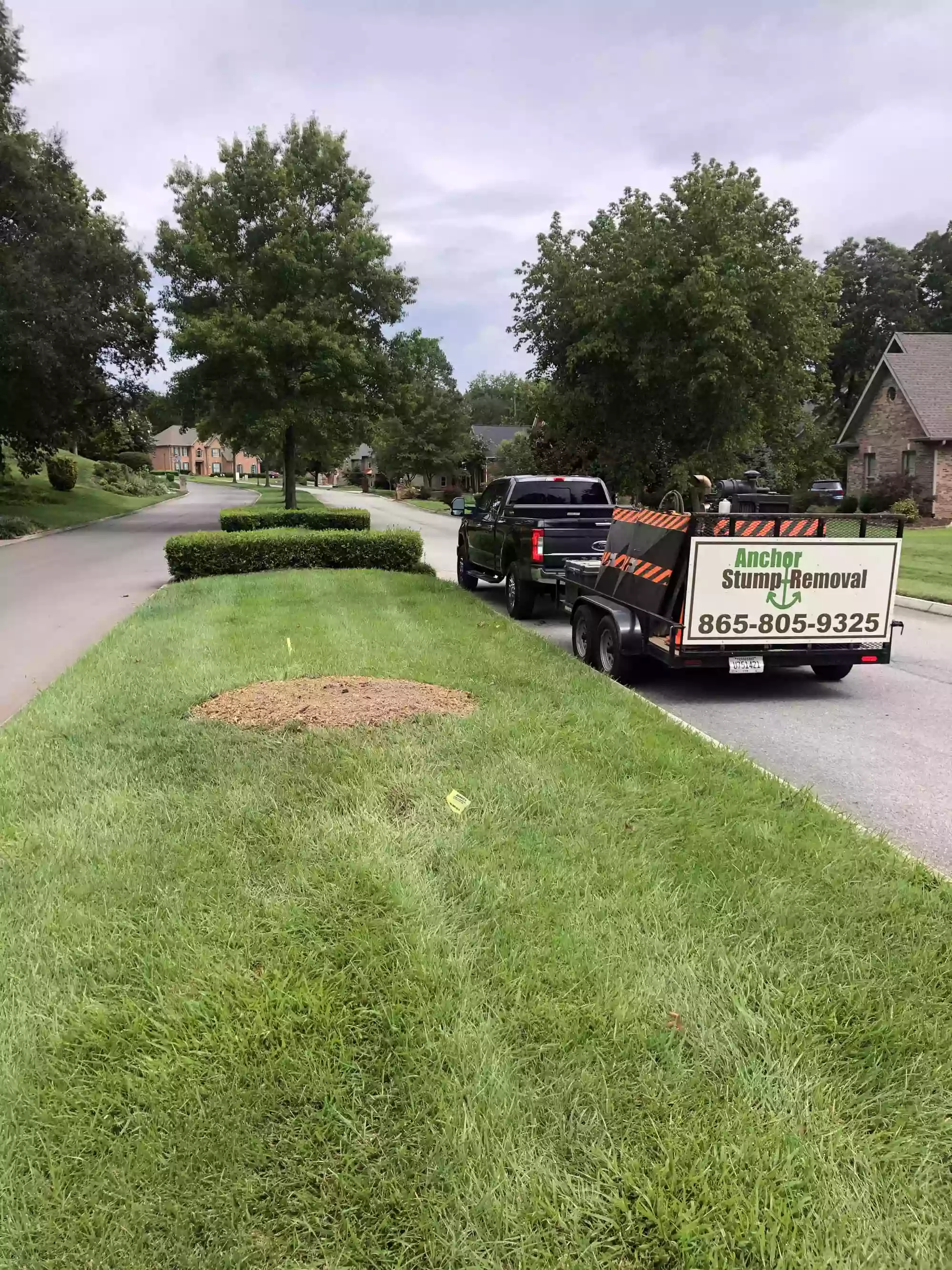 ANCHOR STUMP REMOVAL, STUMP GRINDING