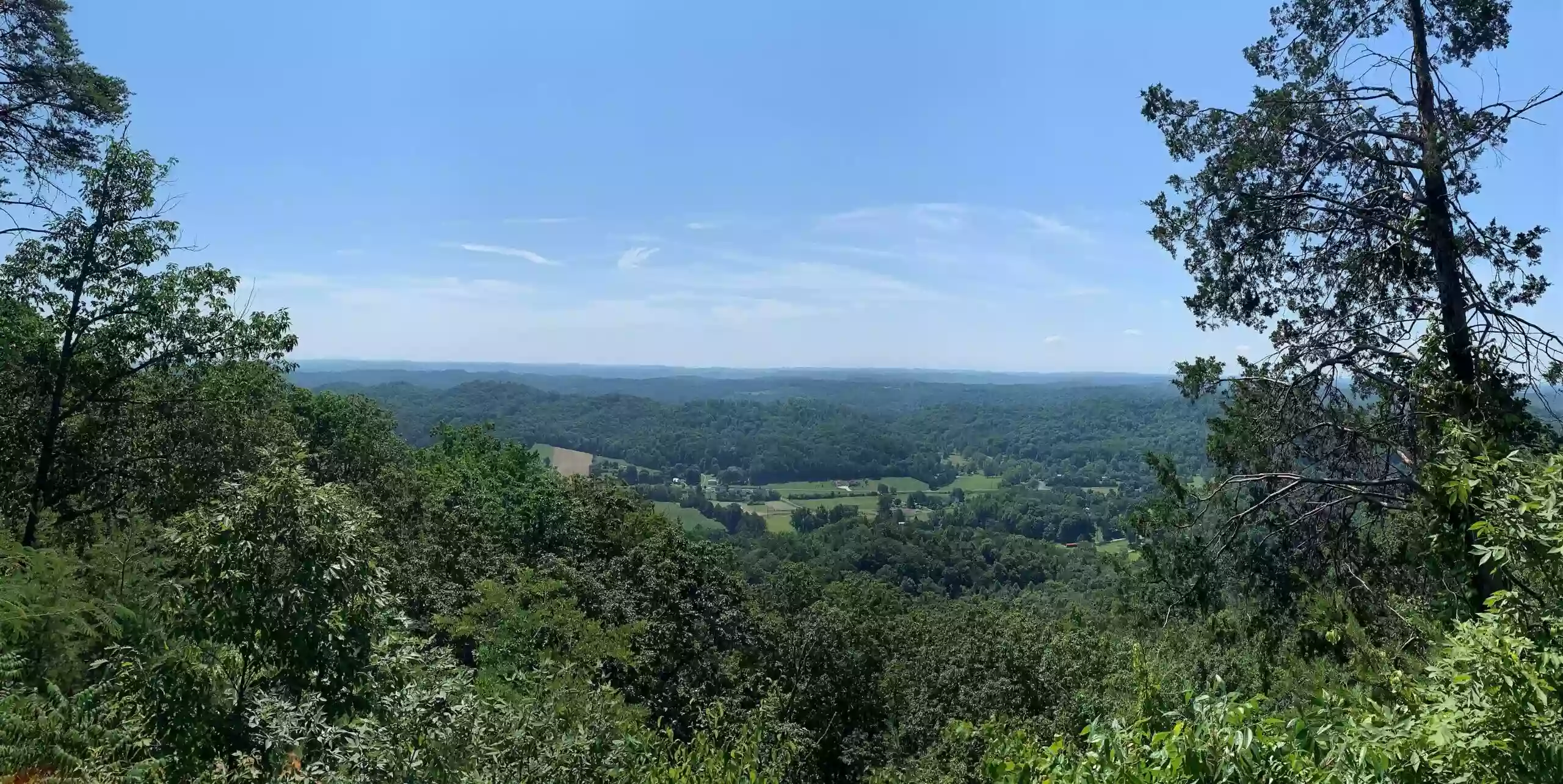 Anderson County Agricultural Extension Service