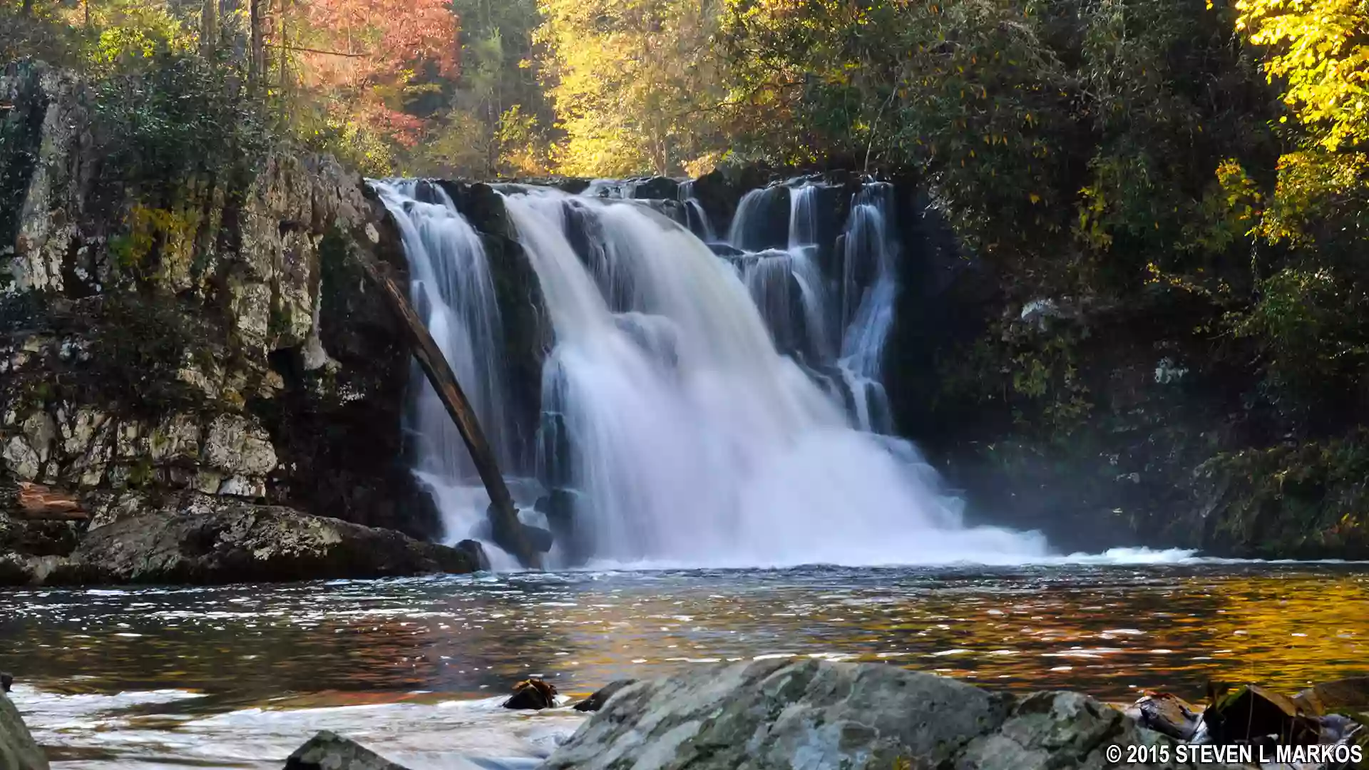 Abrams Falls Parking