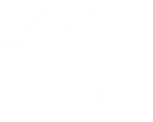 Tony C's Pizza & Beer Garden - Round Rock