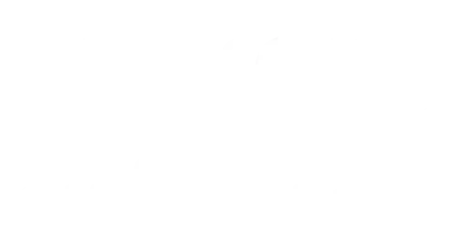 LENOIR