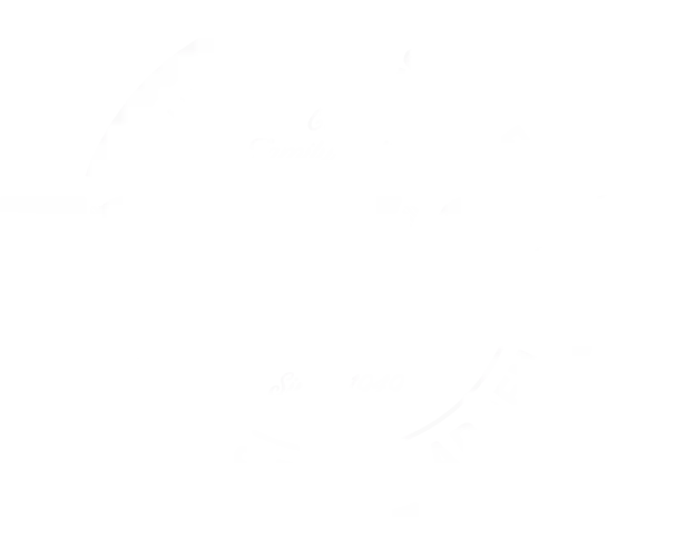 Tony C's Pizza & Beer Garden - Anderson Lane