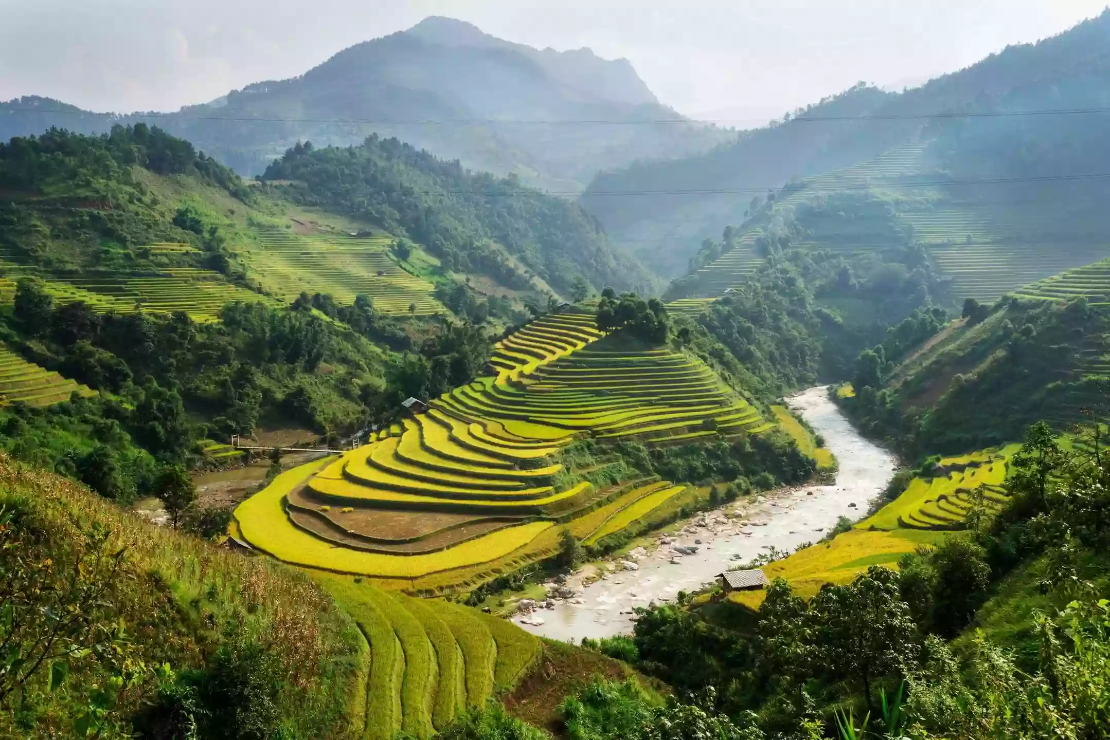 Phở Hải Vân