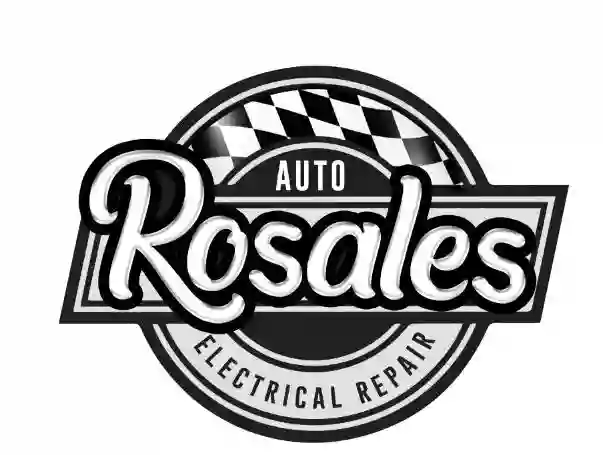 Rosales Auto Electric Repair