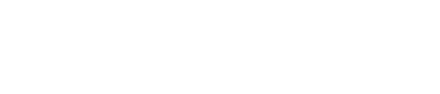 RockLake Insurance Group, Inc.